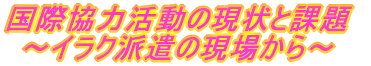 国際協力活動の現状と課題 ～イラク派遣の現場から～